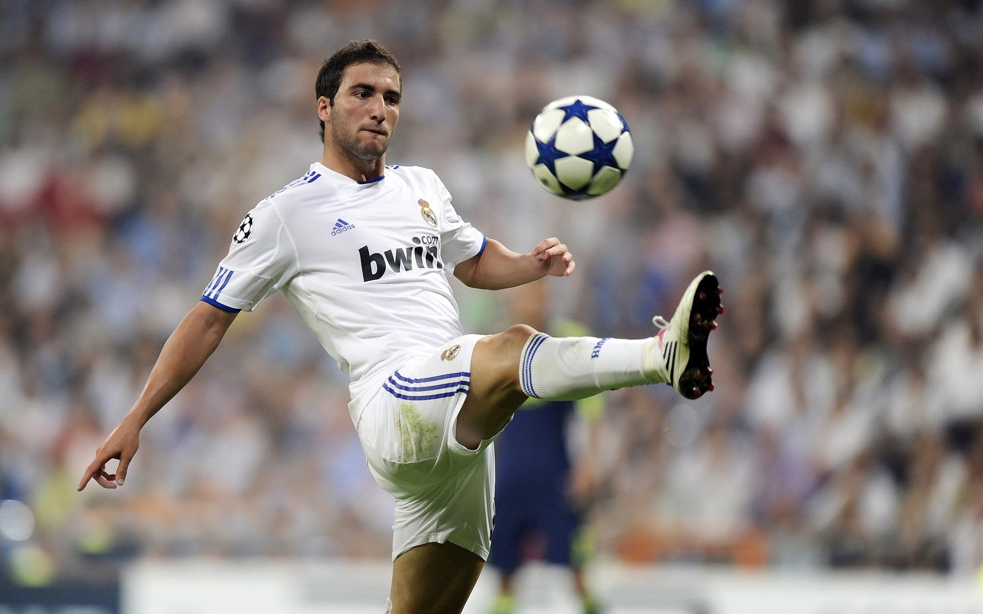 世俱杯：最有人气的球队粉丝团分析，世俱杯参赛队伍2021